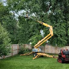 Best Storm Damage Tree Cleanup  in Gouldtown, NJ