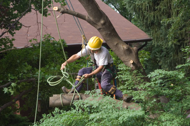 Best Seasonal Cleanup (Spring/Fall)  in Gouldtown, NJ